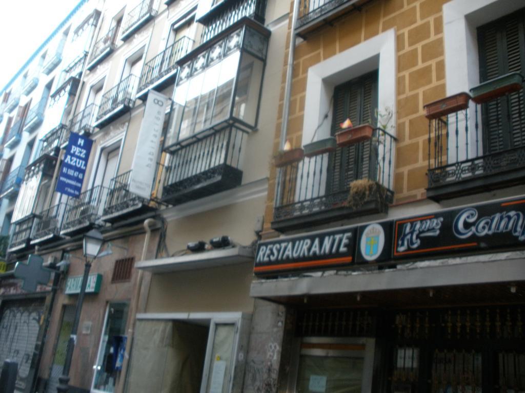 Hotel Hostal Del Pez Azul Madrid Exterior foto